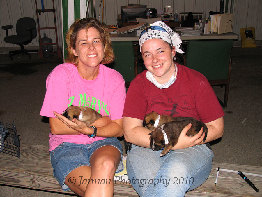 Volunteers with three puppies